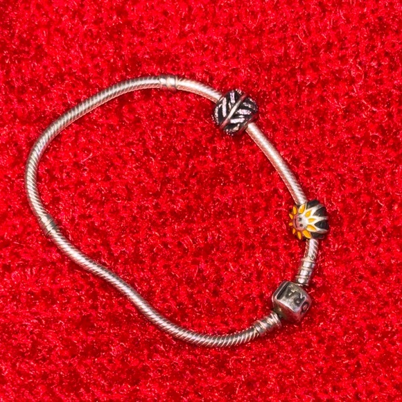 Pandora - Picture 3 of 5